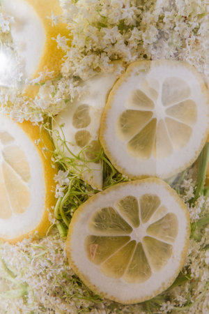 Elder flowers drink glass. White flower shrub. Harvesting buds for making syrup and drink. Cooking drinks.の写真素材