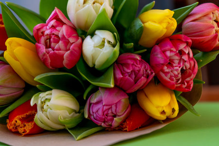 Bouquet of multi-colored tulips close-up. Spring bright flowers. Tulip flower. Congratulatory...