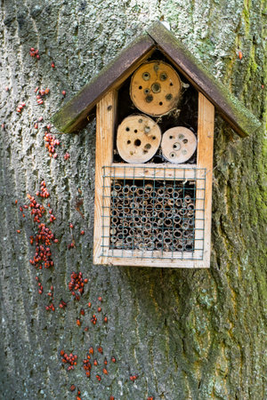 House for insects. A box made of bark, straw and stones. Bricks, cones and bamboo for the insect to settle there. Home hotel for wild bees. Eco friendly do-it-yourself craft for a garden DIY gardeningの写真素材