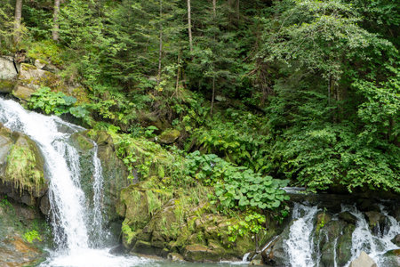 Mountain waterfall in the forest. Green nature.の写真素材