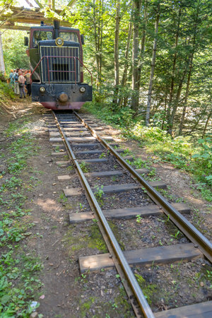 Carpathian tram. Steam locomotive on a narrow-gauge railway. Old transport in the forest.