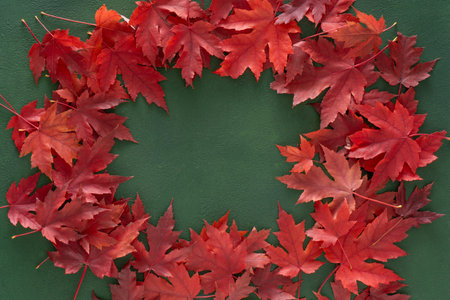 Red maple leaves on green autumn background.