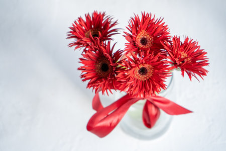 Gerbera Red Flowers in Glass Vaseの写真素材
