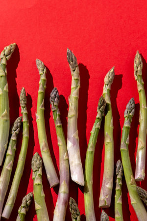 Green asparagus on red background. Vegetable food top view.の写真素材