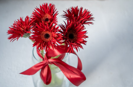 Gerbera Red Flowers in Glass Vaseの写真素材