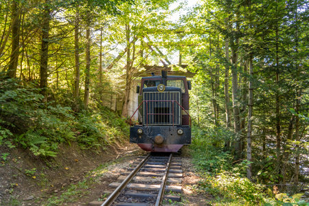 Carpathian tram. Steam locomotive on a narrow-gauge railway. Old transport in the forest.の写真素材