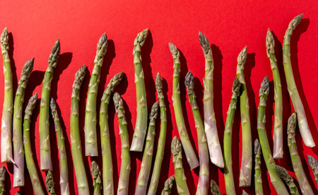 Green asparagus on red background. Vegetable food top view.の写真素材