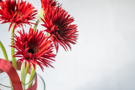Gerbera Red Flower bouquetの写真素材