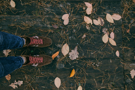 Shoes and Fallen Leaves on Wooden Floor Autumn background. Oak tree leaves. Foot legの写真素材