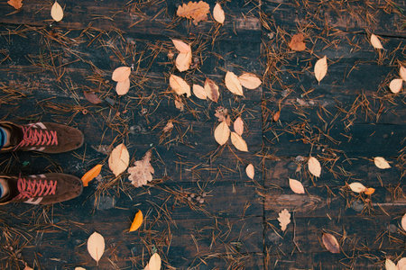 Shoes and Fallen Leaves on Wooden Floor Autumn background. Oak tree leaves. Foot legの写真素材