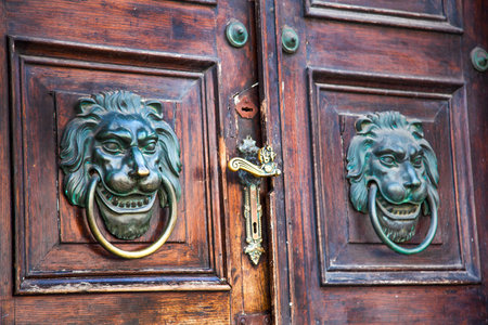 Wooden Door with Lion Knockers