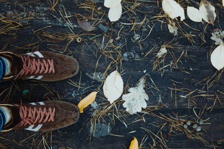 Shoes and Fallen Leaves on Wooden Floor Autumn background. Oak tree brown leaf. Foot legの写真素材