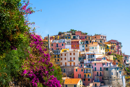 Multicolored houses on cliff edge. Manarola Italian village Cinque Terre, Liguria, Italy. Summer...
