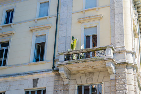 Window balcony with cacti flower plant. Italian style facade street houseの写真素材
