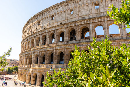 Colosseum Rome Italy