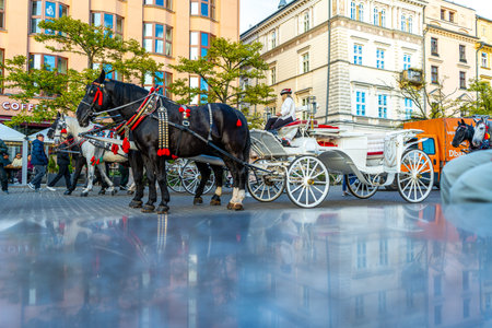 Entertainment for tourists horse drawn carriage rides in the center of Krakow