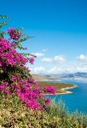 View of the Mirabello Bay, Greece, Crete, Aegean Seaの写真素材