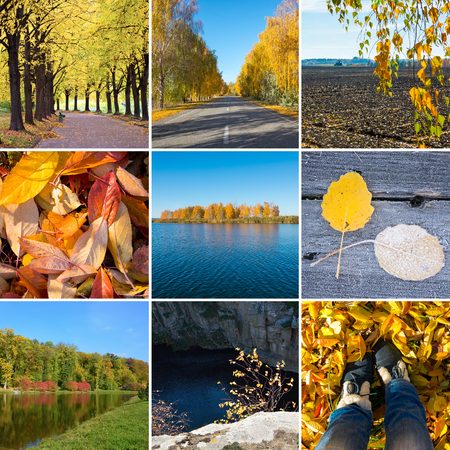 Collage on the theme of autumn. All colors of autumnの写真素材