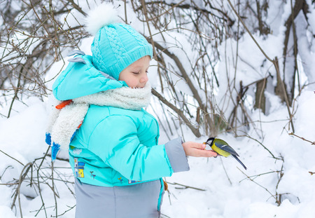A little child feeds a titmouse with his hands in the winter forestの写真素材