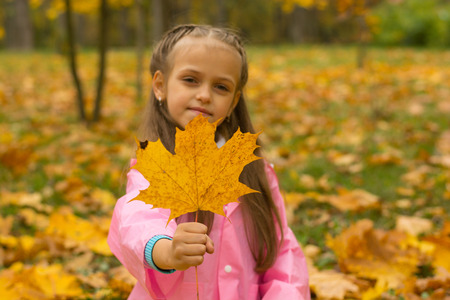 Girl in in a pink raincoat holds in hands an autumn yellow leaf in the park in the fall. の写真素材