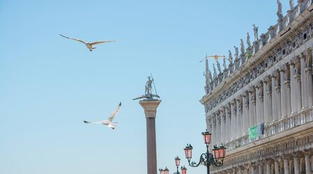 Editorial. May 2019. Gulls on the background of the Column of St. Theodore and the Library of St. Mark on Piazza San Marco a Venice, Italyのeditorial素材