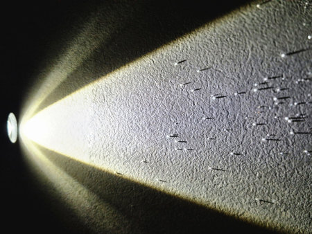 Grains are illuminated by the narrow beam of a flashlight.