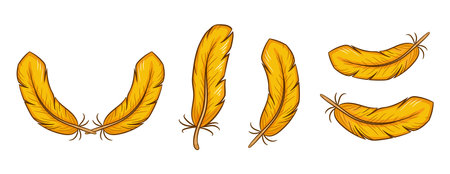 Bird feathers or yellow chicken quills icon set. Chick or duck gold plume. easy fluff. Flying plumules. Light weight soft feathering filler. Vintage ink writing pen. cartoon vectorのイラスト素材