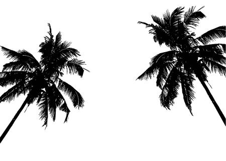 Realistic SilhouetteTropical Coconut Palm Tree, black silhouettes and outline contours on white background Vectorのイラスト素材