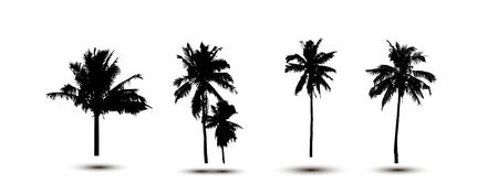 Realistic SilhouetteTropical Coconut Palm Tree, black silhouettes and outline contours on white background. Vectorのイラスト素材