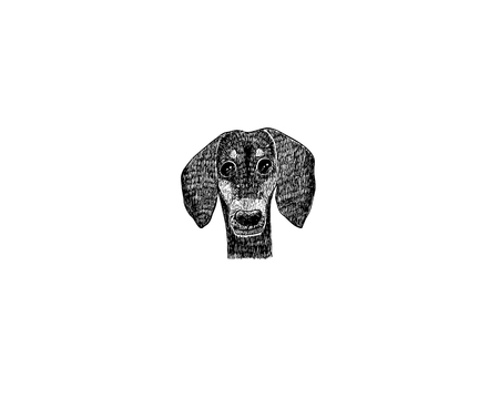 Drawing illustration of dachshund dog cartoon pencil and charcoal on paper art and pastel black sketch on white backgroundのイラスト素材