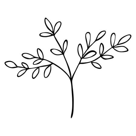 Hand drawn abstract floral sprig silhouette. Black and white outline vector illustration. Decorative branches. Spring and summer leaf icon. Doodle style.のイラスト素材