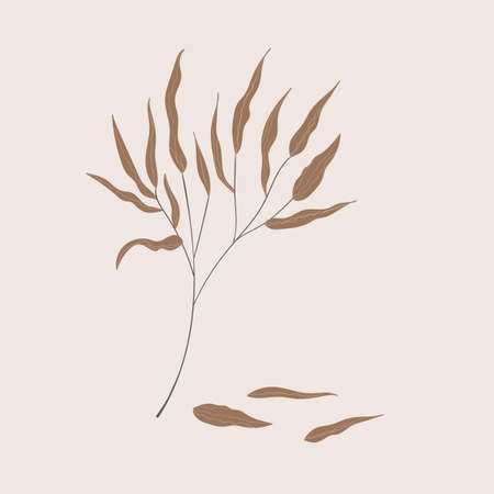 Hand drawn color leaf. Cute isolated element. Modern floral compositions. Tropic brown branches. Vector stock illustration. Clip art for stationery, web design, wallpaper, card.のイラスト素材