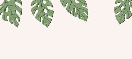 Floral web banner with drawn color exotic monstera leaves. Nature concept design. Modern floral compositions with summer tropical branches. Vector illustration on the theme of ecology, natura.のイラスト素材