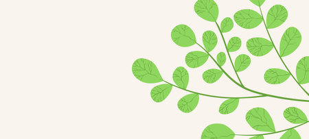 Floral web banner with drawn color exotic monstera leaves. Nature concept design. Modern floral...