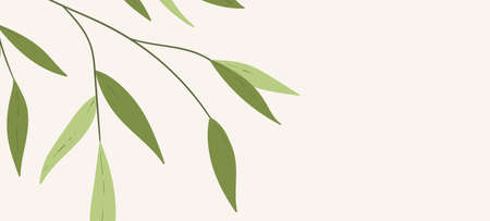 Floral web banner with drawn color exotic leaves. Nature concept design. Modern floral compositions with summer branches. Vector illustration on the theme of ecology, natura, environmentのイラスト素材