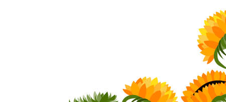 Happy birthday, holiday, celebration greeting and invitation card. Colorful floral banner with sunflowers on light background. Layout template. Modern floral summer composition. Copy spaceのイラスト素材