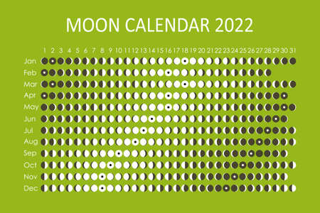 2022 Moon calendar. Astrological calendar design. planner. Place for stickers. Month cycle planner mockup. Isolated black and white symbols on color backgroundのイラスト素材
