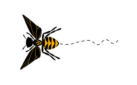 Cartoon bee mascot. A small bees flying on a dotted route. Wasp collection. Vector characters. Incest icon. Template design for invitation, cards. Doodle styleのイラスト素材