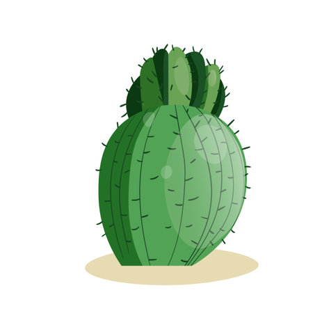 Tall succulent cactus with thorns isolated element. Vector drawing illustration for icon, game, packaging, banner. Wild west, western, cowboy conceptのイラスト素材