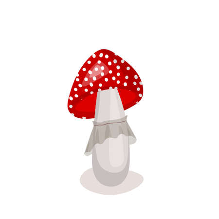 Mushroom icon isolated on white background. Cute fairy mushrooms. Template vector illustration for packaging, banner, card and other design. Food conceptのイラスト素材