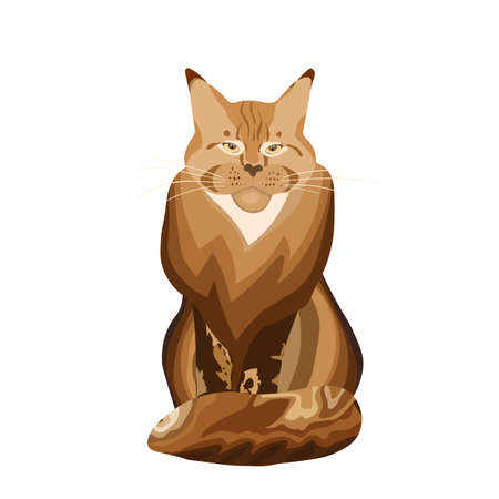 Cute cat Maine Coon isolated on color background. Funny animals. Card, postcards for kids. Flat vector illustration for banner, card, wallpaper, posterのイラスト素材