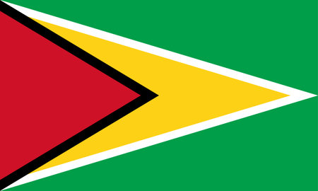 Flag of Guyana. National symbol in official colors. Template icon. Abstract vector backgroundのイラスト素材