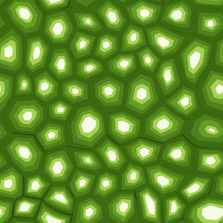 Abstract modern turtle shell seamless pattern. Animals trendy background. Green decorative vector illustration for print, fabric, textile. Modern ornament of stylized skinのイラスト素材