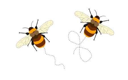 Set of cartoon bee mascot. A small bees flying on a dotted route. Wasp collection. Vector...