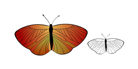 Funny colorful butterfly. Color flat vector set of detailed butterflies. Cute characters. Card, postcards for kids. Silhouette iconのイラスト素材