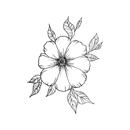 Isolated flower with leaves. Floral hand drawn art ornament. Doodle style. Vector illustration. Simple minimalistic nature elementのイラスト素材