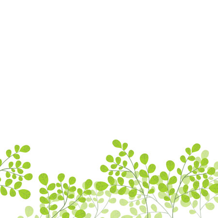 Floral frame with colorful exotic branches on white background. Ornate border with tropic leaves. Vector stock illustration for wallpaper, posters, card. Doodle style. Copy spaceのイラスト素材