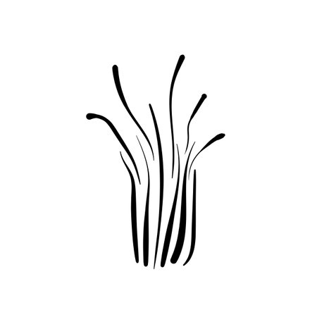 Black and white template tree icon. Vector symbol sign isolated on white background. Trees flat line icons set. Plants, landscape design. Business idea conceptのイラスト素材
