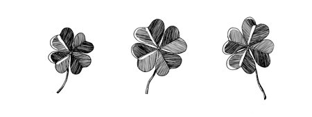 Clover leaves sketch. Decorative sceleton leaf icons. Vector hand drawn illustration. Minimal line art style. St Patricks day elementsのイラスト素材