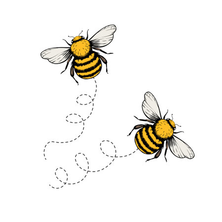 Cartoon bee mascot. A small bees flies. Wasp collection. Vector characters. Incest icon. Template design for invitation, cards. Doodle styleのイラスト素材